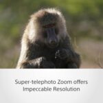 Sony E Mount FE 200 600mm F5.6 6.3 G OSS Full-Frame Lens (SEL200600G) | Super-Telephoto Zoom | for Wildlife Photography, White - Image 4