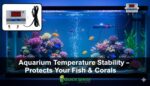 Temperature Controller QS-TC01 | Digital Thermostat | -50°C to 110°C Range | Single Relay | For Aquariums | Incubators | Heating Devices - Image 3