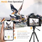 Sony Digital Vlogging Camera - 2.7K, 44MP, 16X Zoom, 32G Memory Card, 1 Battery, Portable, Beginner-Friendly - Image 4