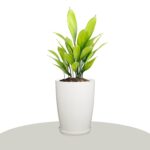 Kuber Industries Flower Pot with Plate | 14 Inch Indoor-Outdoor Plants Stand | Flower Pot for Home-Office | Flower Pot for Garden | Flower Gamla for Balcony | Plain Tower | White - Image 3