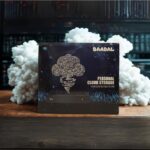 Baadal Private Cloud Storage Device, 2 High Speed SSDs Built in RAID for Data Redundancy, Seamless Multi-Platform sync, automated backups,Without Monthly Subscription, SDDs included (1TB + 1TB) - Image 2