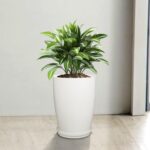 Kuber Industries Flower Pot with Plate | 14 Inch Indoor-Outdoor Plants Stand | Flower Pot for Home-Office | Flower Pot for Garden | Flower Gamla for Balcony | Plain Tower | White - Image 2