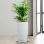Kuber Industries Flower Pot with Plate | 18 Inch Lightweight Polymers Indoor-Outdoor Plant Pots | Flower Pot Gamla for Home-Office & Garden | Planter for Living Room | White - Image 2