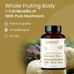 Rooted Active's Lion's Mane Mushroom for Brain Health Support - Mushroom Support for Focus & Memory Function - Immune & Nervous System Supplement | 60 Caps - Image 3