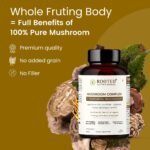 Rooted Active's 7-in-1 Mushroom Complex, Lion's Mane, Reishi, Cordyceps & more, Promotes overall wellbeing, full body detox, increase focus, mental clarity, gut health (60 Caps) - Image 3
