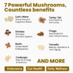 Rooted Active's 7-in-1 Mushroom Complex, Lion's Mane, Reishi, Cordyceps & more, Promotes overall wellbeing, full body detox, increase focus, mental clarity, gut health (60 Caps) - Image 4