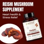 Rooted Active's Reishi Mushroom - Heart & Immune Health Support Supplement | Mushroom Supplement to Support Energy, Mood, Sleep & Aid Overall Well-Being - 60 Capsules - Image 4