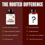 Rooted Active's Reishi Mushroom - Heart & Immune Health Support Supplement | Mushroom Supplement to Support Energy, Mood, Sleep & Aid Overall Well-Being - 60 Capsules - Image 5