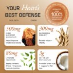 Ace Blend Chaga Shroom Coffee (15 Serves)| 500mg Chaga Mushroom Extract | KSM 66 Ashwagandha | L-theanine | MCT Powder | Heart Health | Regulates Cholestrol | Decaf Instant Coffee | Medium Roast Blend - Image 4