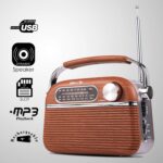 iBELL FM700BT Portable FM Radio with Bluetooth Speaker, USB, SD Slot, MP3 Player & Dynamic Speaker 3 Band (Brown) - Image 3
