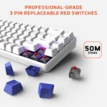 EvoFox Katana S Mini Wired Mechanical Keyboard | Hot-Swappable Silent Red Switches | 68-Key Compact Layout | Vivid Rainbow Backlighting | 1000Hz Polling Rate, All Keys Anti-Ghosting (White) - Image 3