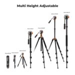 K&F Concept 83 inch/211cm Camera Video Tripod for DSLR Compact Aluminum Tripod with Fluid Head and 5KG Load for Travel and Work K234A7+FH-03 - Image 5
