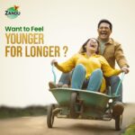 Zandu Dirghayuprash: Anti Age Action* with Vayasthapan Mahakashaya Herbs, Scientifically Proven, goodness of Chyawanprash for 3 way immunity action*|Boosts Energy, Strength, Stamina|450 GM - Image 5
