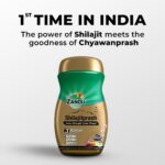 Zandu Shilajitprash, combination of Shilajit and selected herbs of Chyawanpash, a powerhouse of 47 potent Ayurvedic herbs | 3 Action formula to boost strength, stamina & immunity | 900 Gm - Image 3