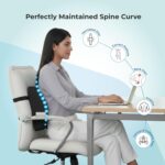 Back Support for Office Chair | Premium High Density Foam Lumbar Pillow | 5-Year Warranty |Orthopedic Backrest for Lower Back & Sciatica Pain Relief | Ergonomic Desk Chair Cushion(Black) - Image 4