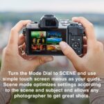 Olympus OMD-EM-10-Mark-IV Mirrorless Digital Camera with Lens 14-42mm f3.5-5.6-EZ Silver - Image 4