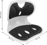 Ergonomic Lumbar Back Support Cushion Set with Seat Cushion, Black Mesh Construction, Posture Correction for Office Chair and Car Seat, 2 Piece (Chair Cushion SEAT) - Image 3