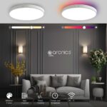Smart Ceiling Light - WiFi-Enabled, 30+10W RGB and CCT LED, Voice and App Control, Music Sync, Multi-Color & Adjustable White, Perfect for Home, Office, Parties - 2 Years Warranty - Image 3