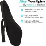 Lumbar Back Support for Car Seat | 2 Years Warranty | Orthopedic Memory Foam Cushion for Back Pain Relief, Office Chair, Sofa Back Rest for Bed, Ergonomic Lumbar Cushion (Back Rest Black) - Image 4