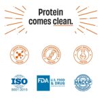 The Whole Truth Whey Protein Isolate Unflavoured |2 kg (4.4 lbs) | 30g Protein per scoop | 7.3g BCAA | No Adulteration | Improved Strength, Faster Recovery & Muscle Building | Vegetarian - Image 4