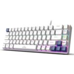EvoFox Katana S Mini Wired Mechanical Keyboard | Hot-Swappable Silent Red Switches | 68-Key Compact Layout | Vivid Rainbow Backlighting | 1000Hz Polling Rate, All Keys Anti-Ghosting (White) - Image 2