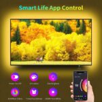 Gesto 300 LED Strip Lights with Adaptor|Music Sync RGB Strip Lights with Alexa |App Operated - 5 Meters Waterproof Smart Light - Multicolor LED Lights for Home Decoration, Bedroom,Diwali,False Ceiling - Image 2