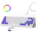 Kreo Hive 65 RGB Anti-ghosting Gaming Keyboard | Wired Mechanical Keyboard with RGB Backlight | 5 Pin Hot-Swap | Detachable USB C Cable (White) - Image 2