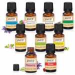 Pure Source India Aroma Essential Oils 9 Fragrances In 1 Pack, 10 Ml Each, (Fragrances: Lemon Grass, Lavender, Jasmine, Rose, Citronella, Eucalyptus, Peppermint, Sandal Wood, Relaxing) - Image 2