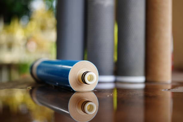 WaterScience Replacement Cartridge for CLEO Shower and Tap Filter for Hard Water