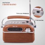 iBELL FM700BT Portable FM Radio with Bluetooth Speaker, USB, SD Slot, MP3 Player & Dynamic Speaker 3 Band (Brown) - Image 2