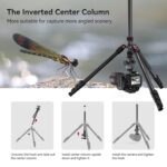 SmallRig 78" Camera Tripod, Foldable Aluminum Tripod & Monopod, 360°Ball Head Detachable and Quick Release Plate, Payload 33lb, Adjustable Height from 18.5" to 78" for Camera, Phone - 3474C - Image 3
