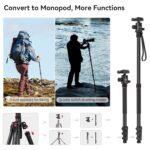 SmallRig 78" Camera Tripod, Foldable Aluminum Tripod & Monopod, 360°Ball Head Detachable and Quick Release Plate, Payload 33lb, Adjustable Height from 18.5" to 78" for Camera, Phone - 3474C - Image 4