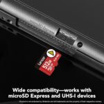 Lexar 512GB Play PRO microSDXC Express Card, UHS-I, C10, U3, V30, A2, Full-HD, 4K Video, up to 900MB/s Read, for Nintendo-Switch 2, ASUS ROG Ally, Steam Deck, Gaming Devices (LMSXPS0512G-BNNNU) - Image 5