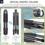 INNOREL GT284C Carbon Fiber Tripod Professional Compact Portable Tripod for Digital DSLR Camera Heavy Duty Camera Stand Support 29mm Tube Max Load 20kg with Special-Shaped Center Column - Image 4