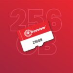 Trueview Memory Card 256GB Class 10, Up to 70 Mbps Reading & 30 Mbps Writing Speed with High Performance of Data Transfer & Lower Power Consumption for Portable Devices - Image 3