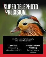Canon RF 100-400MM F/5.6-8 IS USM0MM F/5.6-8 IS Lens,Black - Image 5