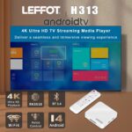 Android 14.0 TV Box 2025, LEFFOT H313 4K Ultra HD Streaming Device for TV with BT 5.4, 2GB RAM + 16GB ROM, Smart TV Box with Voice Remote, USB 3.0, HDR 10, 2.4G & 5G WiFi 6 - Image 3