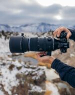 OM SYSTEM M.Zuiko Digital ED 150-600mm F5.0-6.3 is for Micro Four Thirds System Camera, Outdoor Bird Wildlife, Weather Sealed Design, Telephoto Compatible with Teleconverter - Image 5