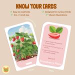 Think n Link Flash Cards | Fruits & Vegetables & Where They Grow Cards, 52 Double-Sided | Montessori Learning, Memory & Logical Thinking | Screen-Free Educational Activity for Kids 2–8 - Image 6