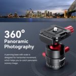 SmallRig Tripod for iPhone Desktop Mini Tripod - Aluminum Alloy 20 inches/ 50 cm with 360 Degree Ball Head, 1/4 inch Quick Shoe Plate for Vlogging DSLR Camera Video, Load up to 11 pounds-3033 - Image 4