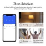 1 Node Smart WiFi Retrofit Dimmer Module| WiFi Controlled | Works with Smart Life, Alexa, Google | Fits into any Existing Switch Board | DIY Switch Modules - Image 4