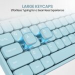 Portronics Ki-Pad 3 USB Wired Keyboard with Large Keycaps, Noise-Free Typing, Fn Multimedia Hotkeys, Full-Size Layout with Num Pad, Ergonomic Design, 1.5m USB Cable, for Laptop, PC, Mac (Blue) - Image 3