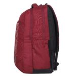 Arctic Fox Mesh Terrain Black 38 Liters, 15.6 inch Laptop Backpack for Men and Women - Image 6