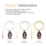 LED Ring Light 10'' Inch, Selfie Circle Light, Phone Holder, USB Powered, 3 Light Modes (Ring Light 10'' Inch) - Image 3