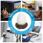 Sleek WiFi Bird Egg | Modern Design, Bird's nest & Smart Home Ready - Image 8