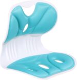 Ergonomic Lumbar Back Support with Seat Cushion – Orthopedic Posture Corrector for Lower Back Pain Relief, Spine Backrest Support for Office Chair, Floor Seating, Car Seat & Home Use (Sky Blue) - Image 2