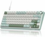 RK ROYAL KLUDGE RK R75 Gaming Keyboard Wired Mechanical Keyboard with RGB Backlit, PBT Keycaps for Mac Windows Linux - Phantom, Brown Switch (Skycyan, Fast Silver Switch, Wired) - Image 2